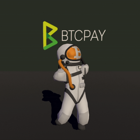 Bitpaint dancing for the BTCPay Server gods